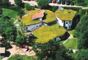 Die Wilde Wiese aus der Luft