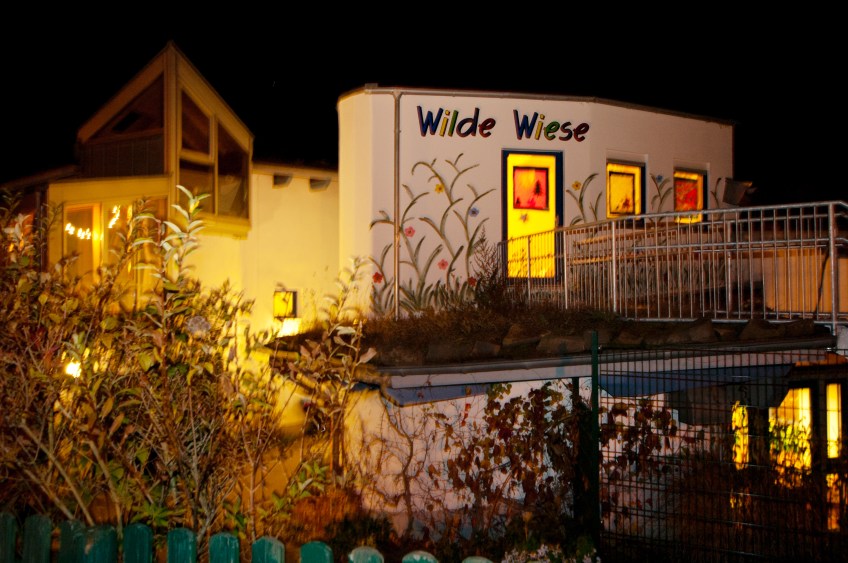 Abendansicht Wilde Wiese